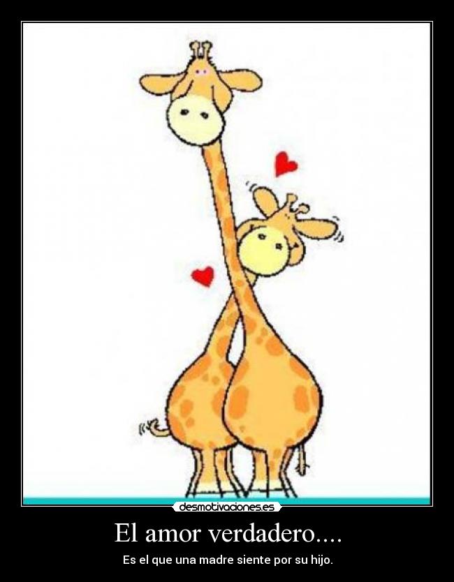 carteles amor amor desmotivaciones