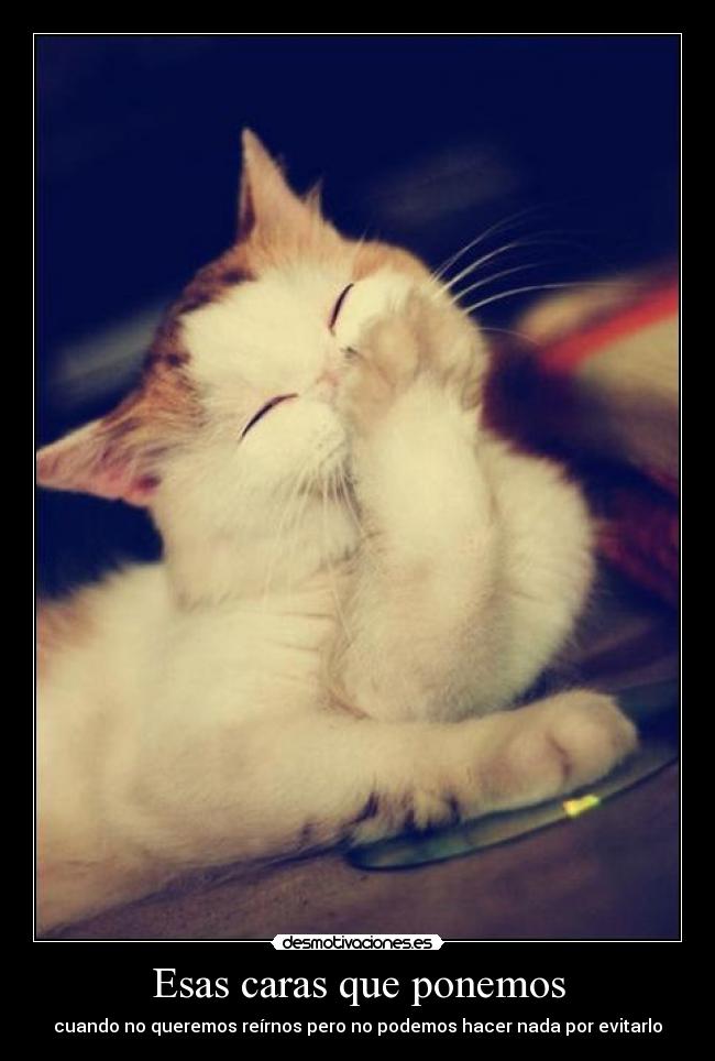 Esas caras que ponemos - 