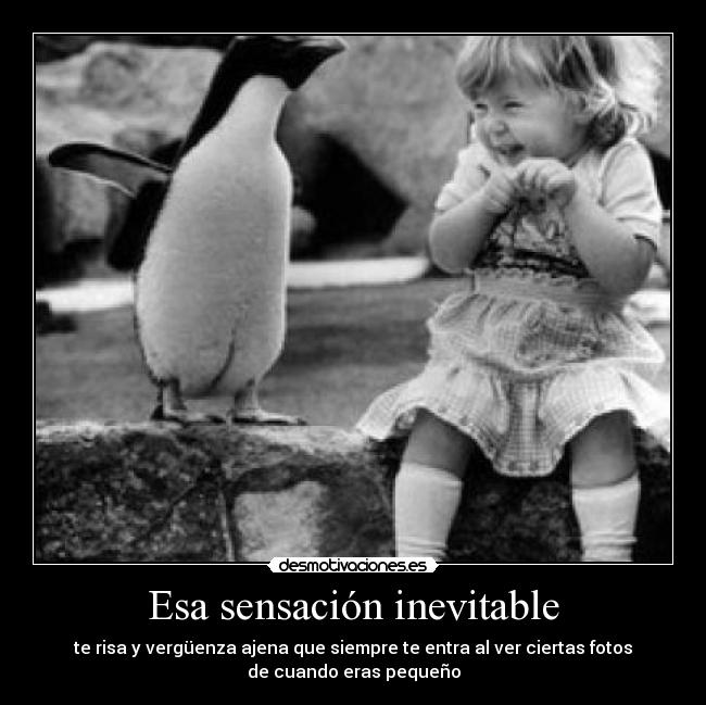 carteles recuerdos desmotivaciones