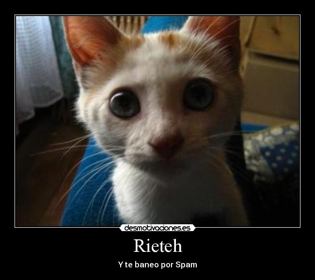 Rieteh - Y te baneo por Spam