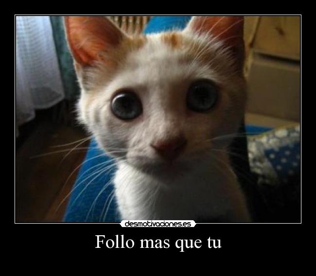 Follo mas que tu -