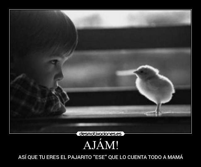 AJÁM! - ASÍ QUE TU ERES EL PAJARITO ESE QUE LO CUENTA TODO A MAMÁ