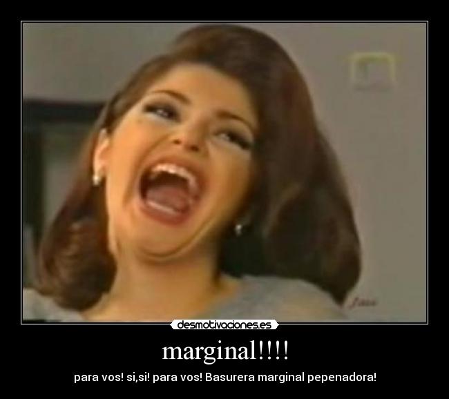 marginal!!!! - para vos! si,si! para vos! Basurera marginal pepenadora!