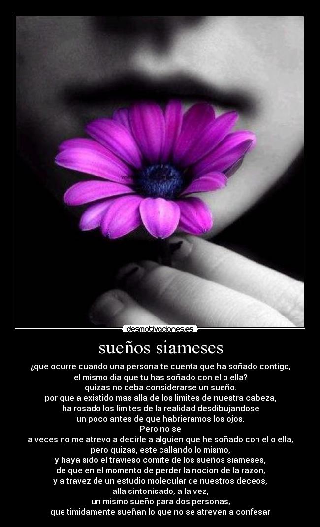 sueños siameses - ¿que ocurre cuando una persona te cuenta que ha soñado contigo,
el mismo dia que tu has soñado con el o ella?
quizas no deba considerarse un sueño.
por que a existido mas alla de los limites de nuestra cabeza,
ha rosado los limites de la realidad desdibujandose
un poco antes de que habrieramos los ojos.
Pero no se
a veces no me atrevo a decirle a alguien que he soñado con el o ella,
pero quizas, este callando lo mismo,
y haya sido el travieso comite de los sueños siameses,
de que en el momento de perder la nocion de la razon,
y a travez de un estudio molecular de nuestros deceos,
alla sintonisado, a la vez,
un mismo sueño para dos personas,
que timidamente sueñan lo que no se atreven a confesar