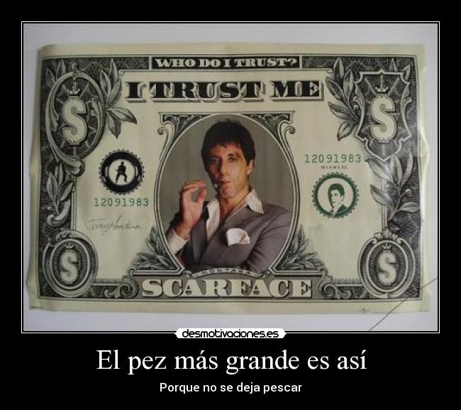 El pez más grande es así - Porque no se deja pescar