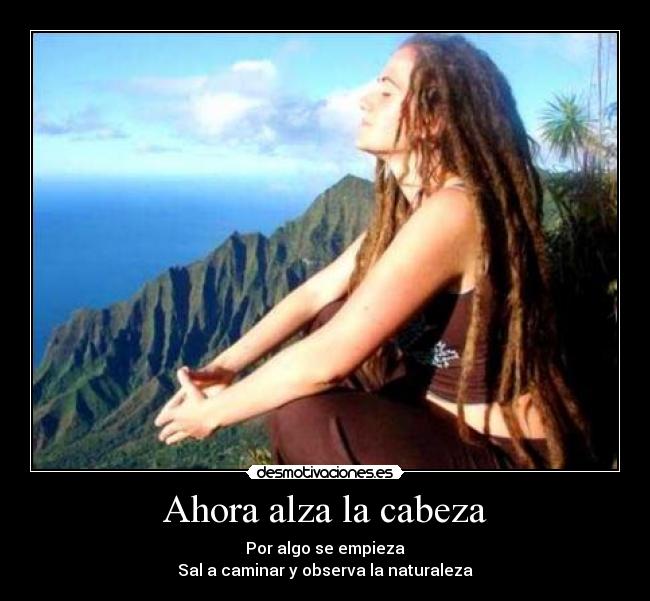 carteles gahona desmotivaciones