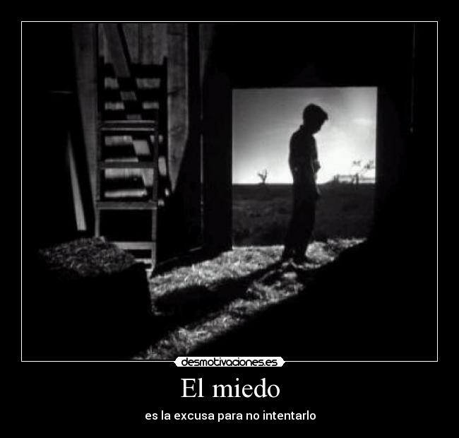 carteles miedo miedo excusa intentar desmotivaciones