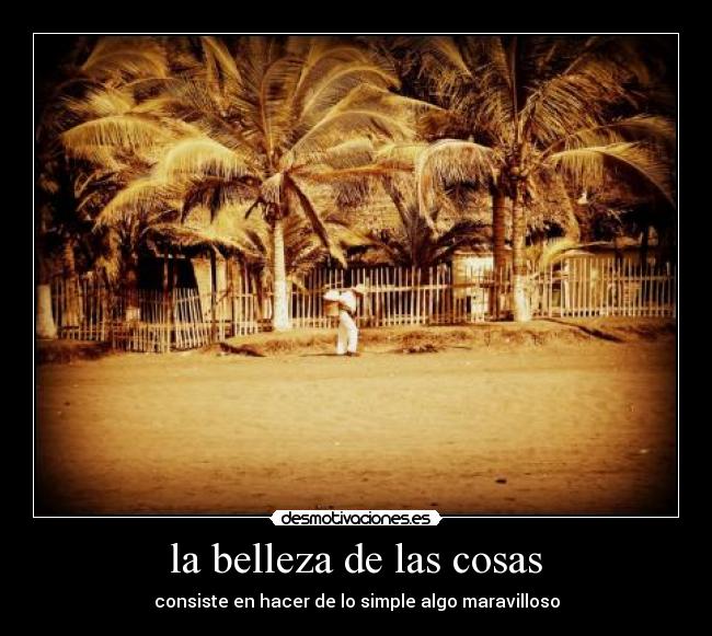 la belleza de las cosas - consiste en hacer de lo simple algo maravilloso