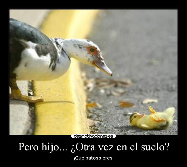 carteles patoso literalmente xdd ugn2010 aintheu desmotivaciones