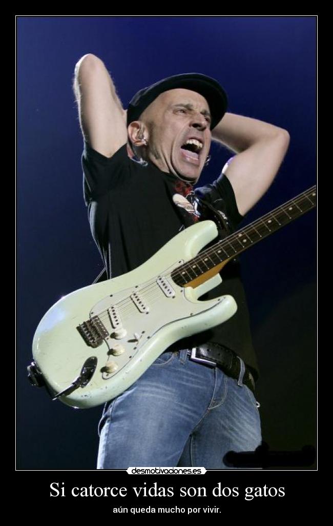Si catorce vidas son dos gatos - aún queda mucho por vivir.