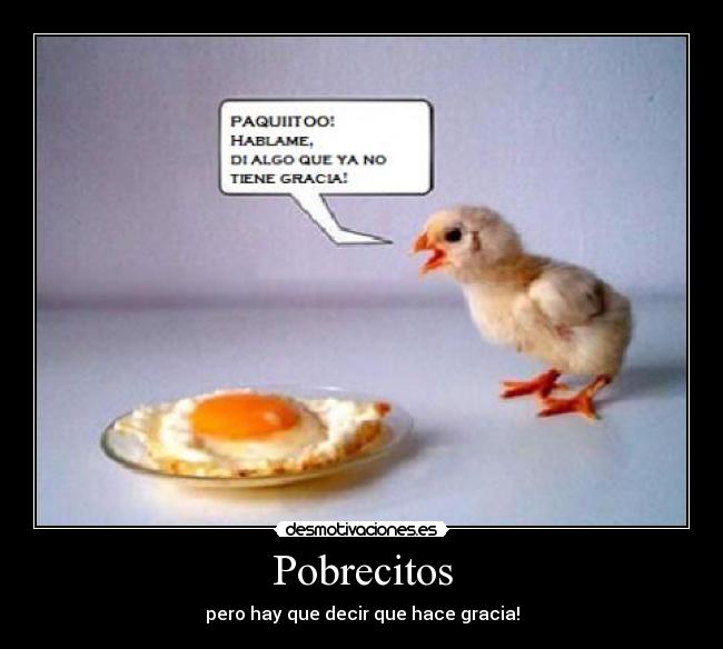 Pobrecitos - 
