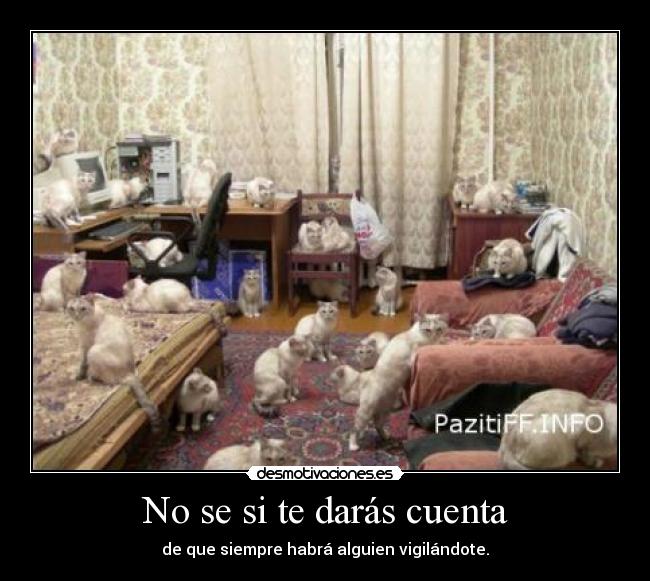 No se si te darás cuenta - 