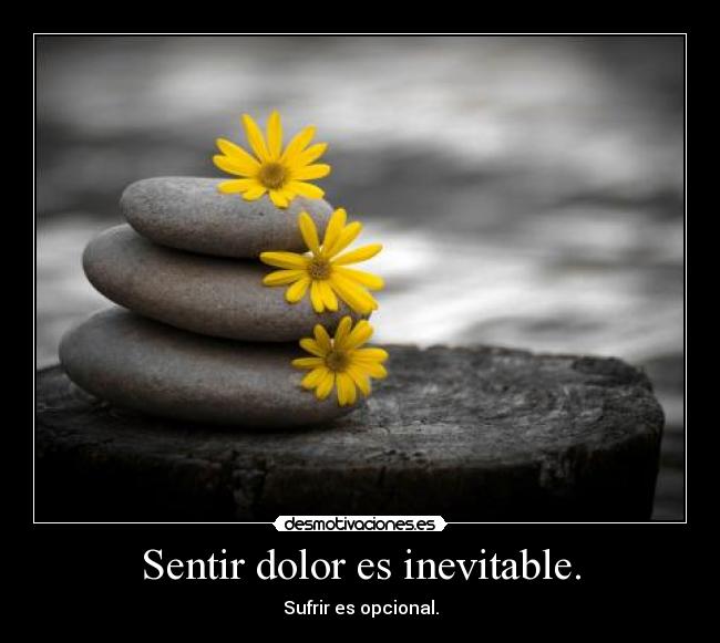 Sentir dolor es inevitable. - Sufrir es opcional.