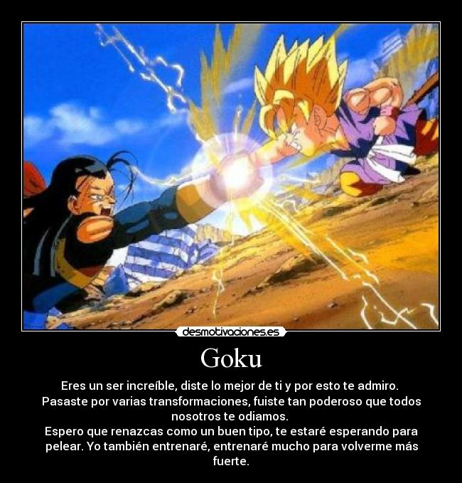 Goku - Eres un ser increíble, diste lo mejor de ti y por esto te admiro. 
Pasaste por varias transformaciones, fuiste tan poderoso que todos
nosotros te odiamos. 
Espero que renazcas como un buen tipo, te estaré esperando para
pelear. Yo también entrenaré, entrenaré mucho para volverme más
fuerte.