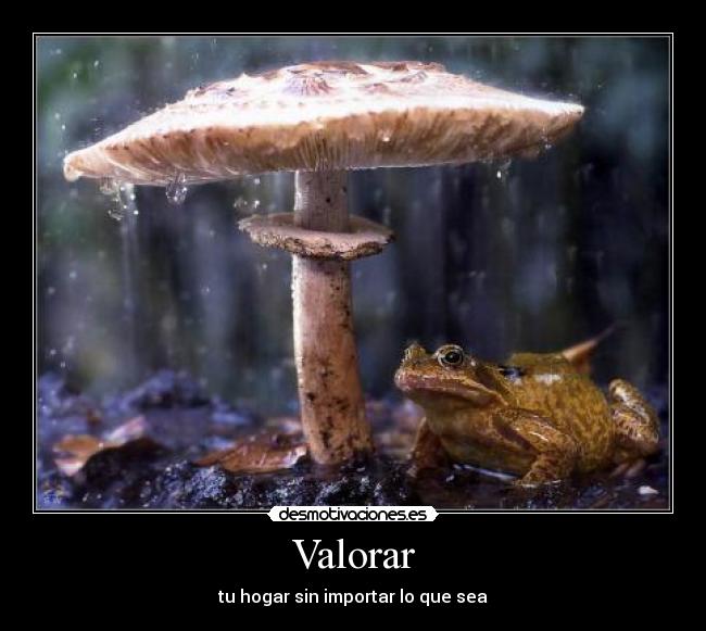 Valorar - tu hogar sin importar lo que sea