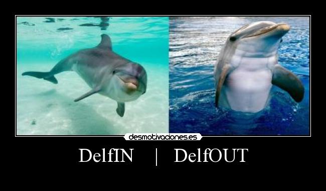 DelfIN    |   DelfOUT - 
