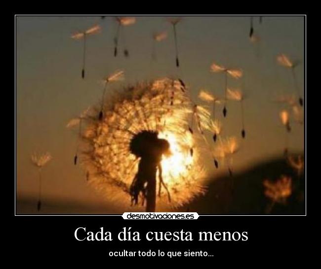 carteles sentir desmotivaciones