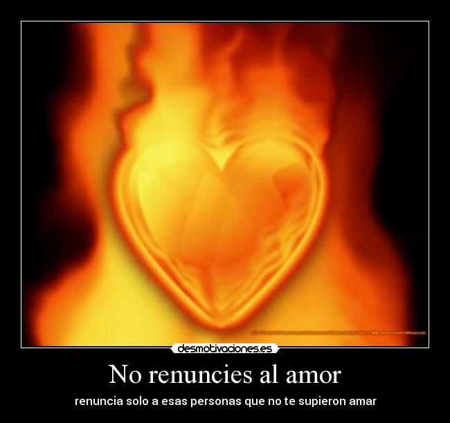No renuncies al amor - 