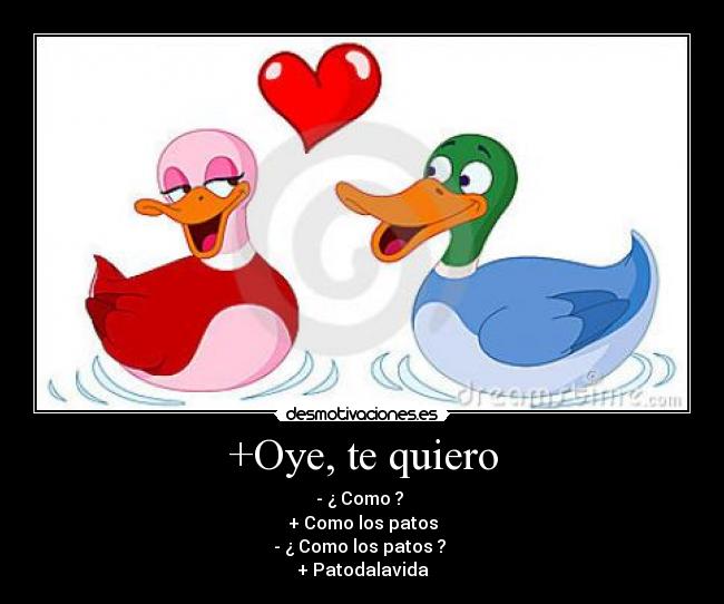 +Oye, te quiero - - ¿ Como ?
+ Como los patos
- ¿ Como los patos ?
+ Patodalavida