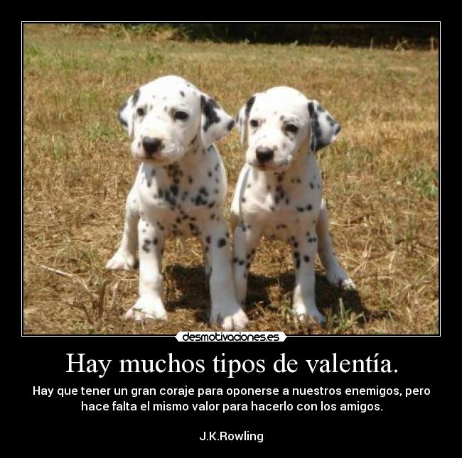 Hay muchos tipos de valentía. - Hay que tener un gran coraje para oponerse a nuestros enemigos, pero
hace falta el mismo valor para hacerlo con los amigos.
J.K.Rowling