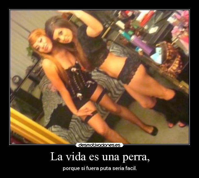La vida es una perra, - 
