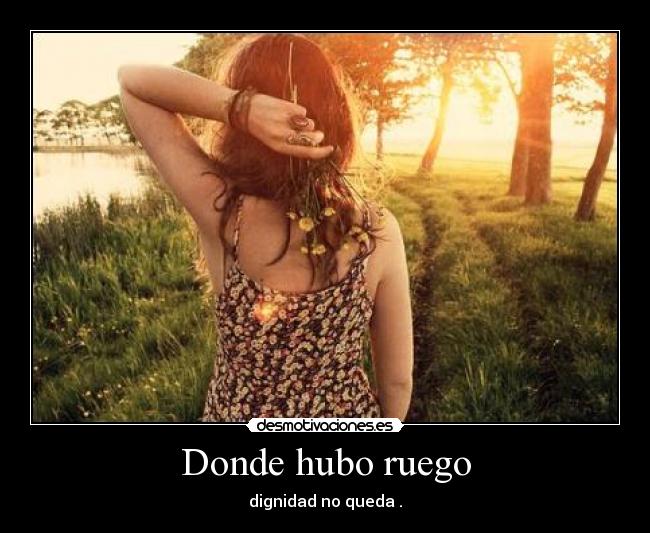 Donde hubo ruego - 