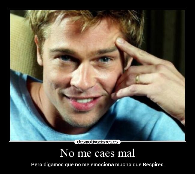 No me caes mal - 