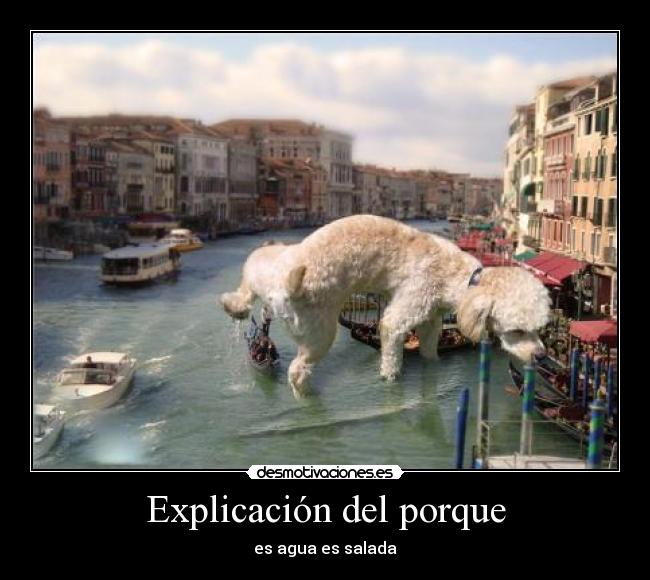 Explicación del porque - es agua es salada