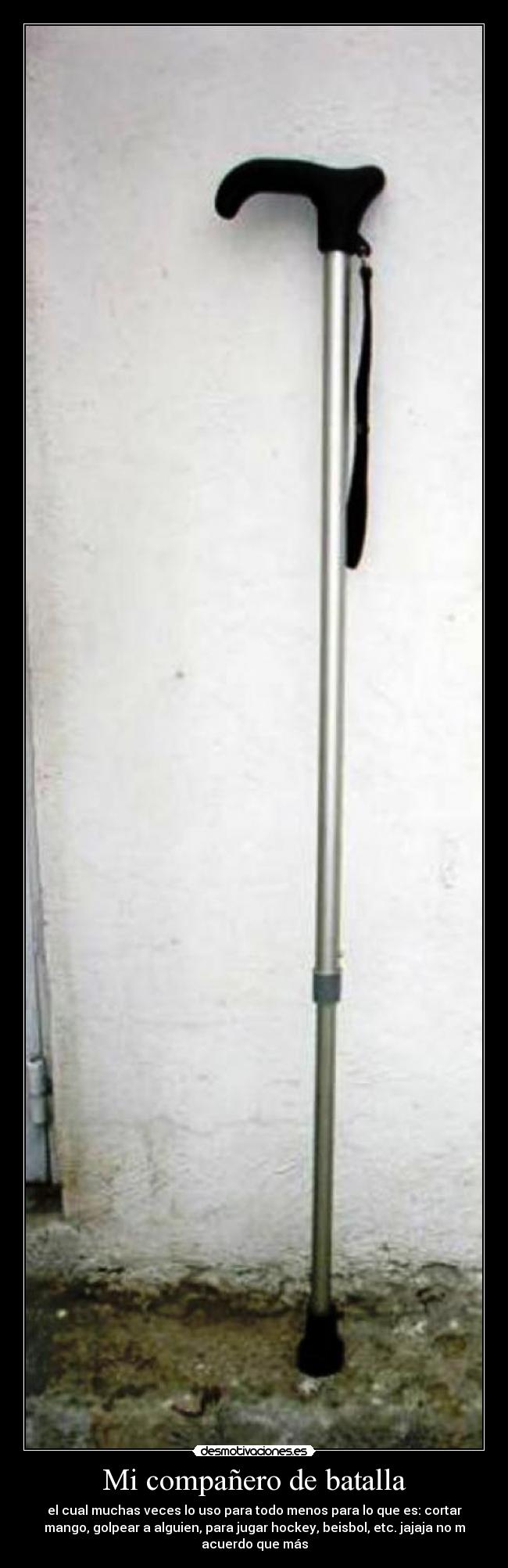 carteles companero batalla desmotivaciones