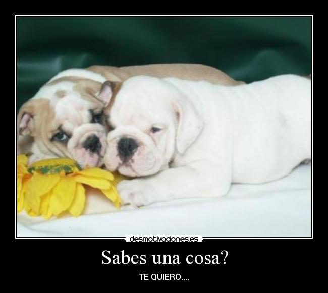Sabes una cosa? -