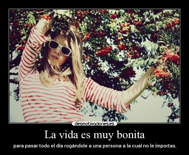 La vida es muy bonita -
