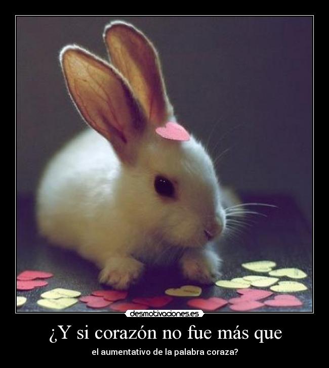 ¿Y si corazón no fue más que -