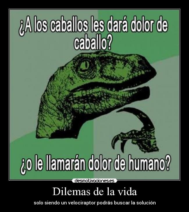 carteles vida filosoraptor philosoraptor velociraptor caballo dolor humano vida desmotivaciones