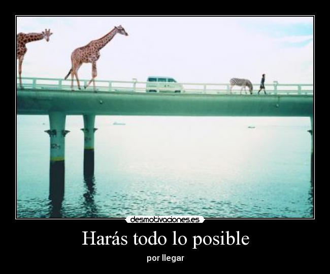 Harás todo lo posible -