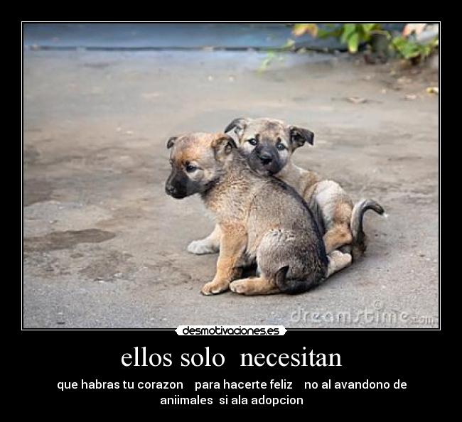 ellos solo necesitan -