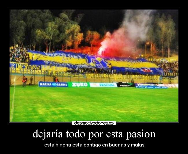 dejaría todo por esta pasion - 