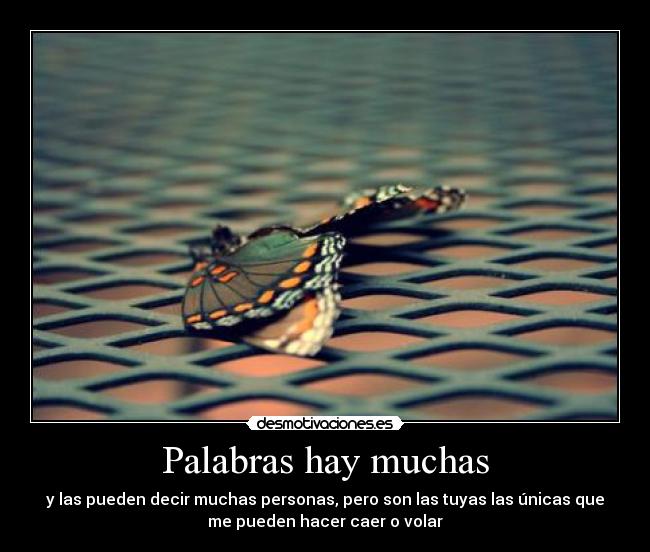 Palabras hay muchas -
