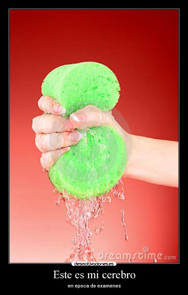 Este es mi cerebro -