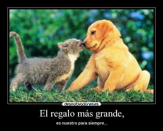 El regalo más grande, - 