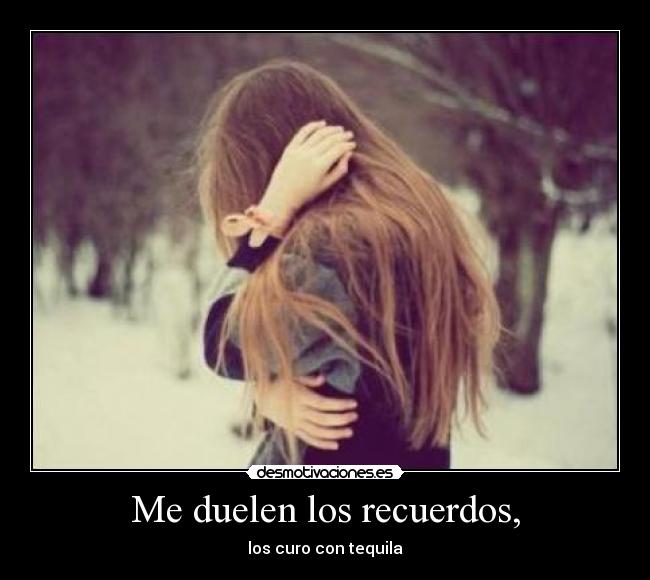 carteles recuerdos nvoav desmotivaciones