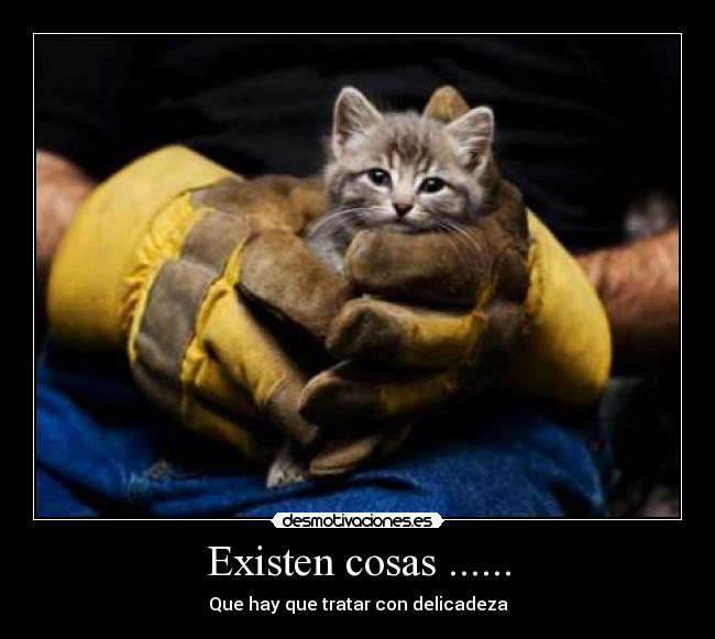 Existen cosas ...... - 