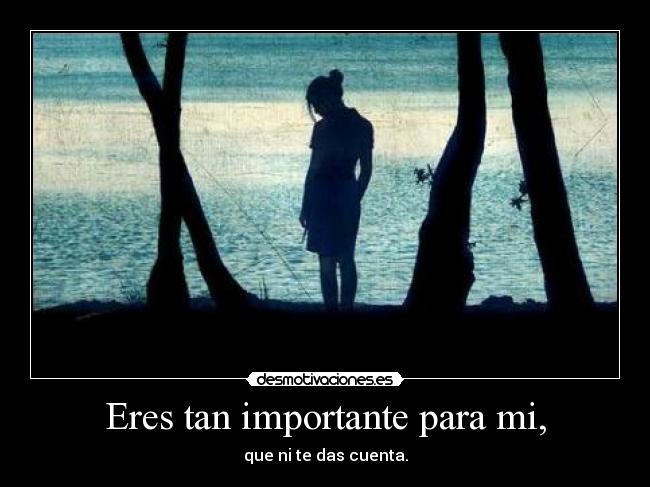 Eres tan importante para mi, - que ni te das cuenta.