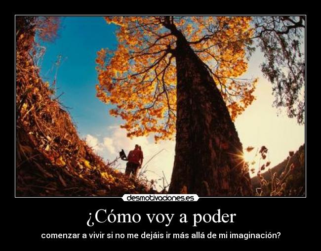 ¿Cómo voy a poder -