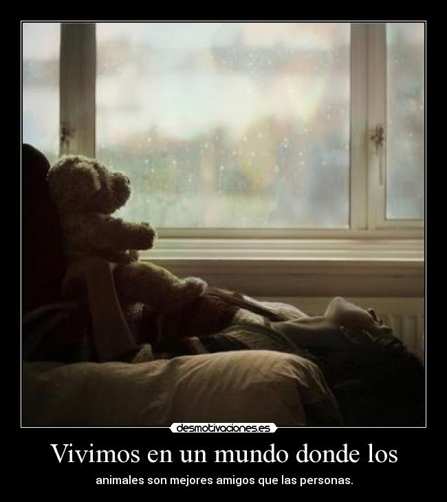 Vivimos en un mundo donde los -