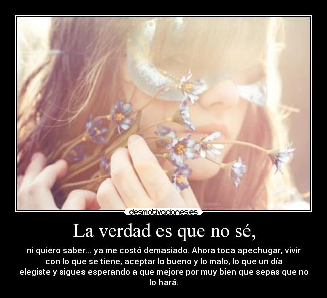 La verdad es que no sé, -