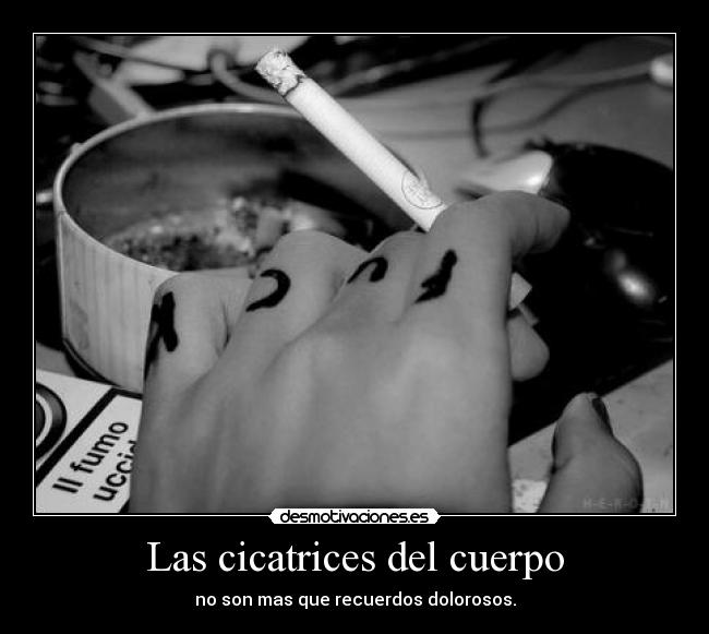 Las cicatrices del cuerpo -