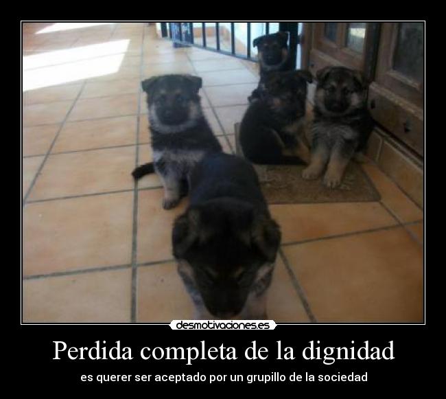 carteles dignidad desmotivaciones