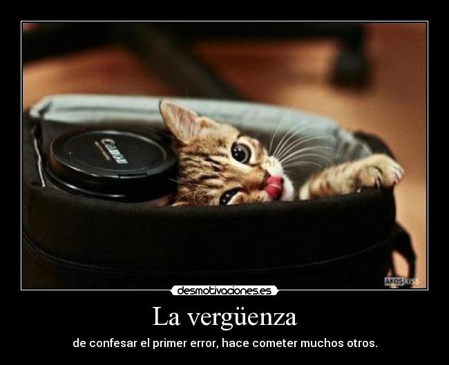 La vergüenza - 