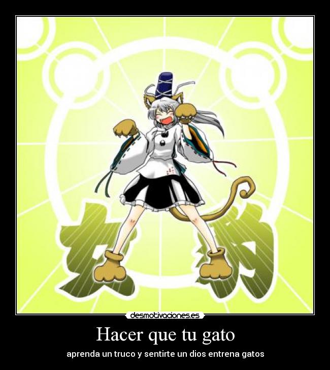 Hacer que tu gato - aprenda un truco y sentirte un dios entrena gatos