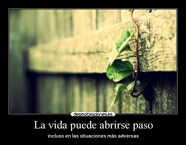La vida puede abrirse paso - 